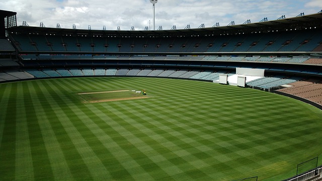 的比赛都将 的比赛都将