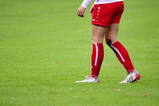 心和努力 心和努力