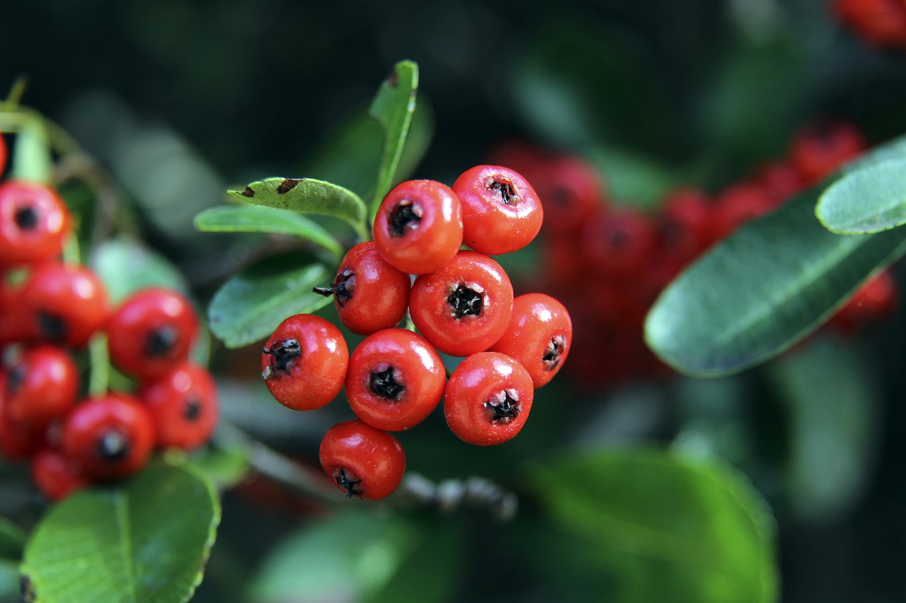 的攻击性打 的攻击性打