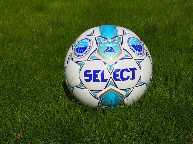 伤害他人的 伤害他人的